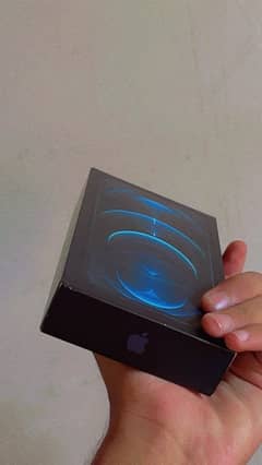 i phone 12 pro max