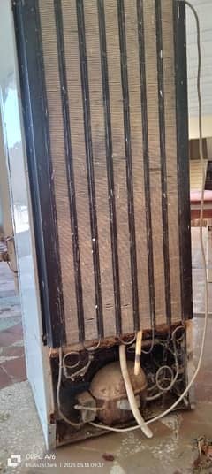 PEL Refrigerator