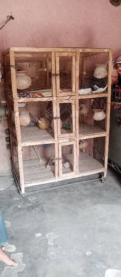 birds house For Argent  Sale RS: 10,000