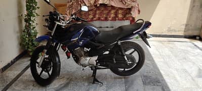 YBR-G
