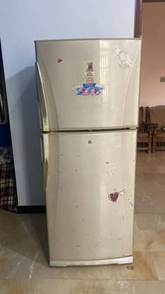 Dalwance signature jumbo size model