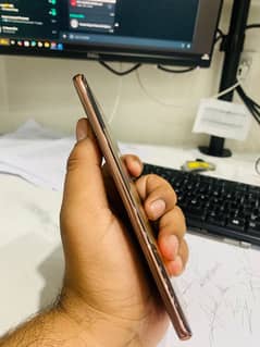 v40e-Golden