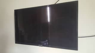 EchoStar 32inches led TV Original