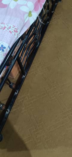 1 year used carpet ( 17 length and 13.5 width) good condition, v. clean