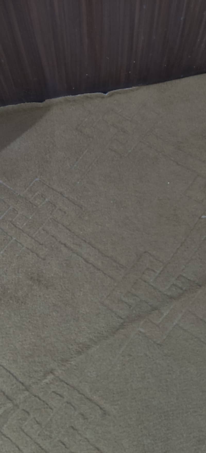 1 year used carpet ( 17 length and 13.5 width) good condition, v. clean 1