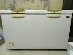 D freezer best conditions for big family
