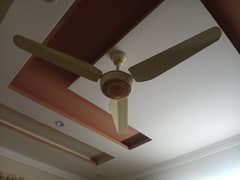 ceiling fan