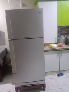 pel Fridge, Jumbo Size / All is Okay, Cooling VIP