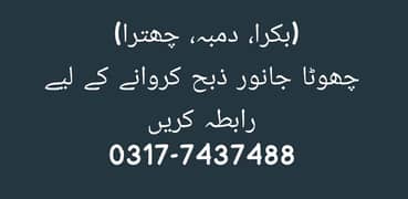 قربانی کے لیے قصائی