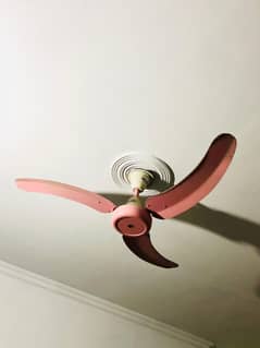 Ceiling fan parwaz