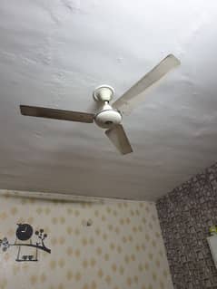 ceiling