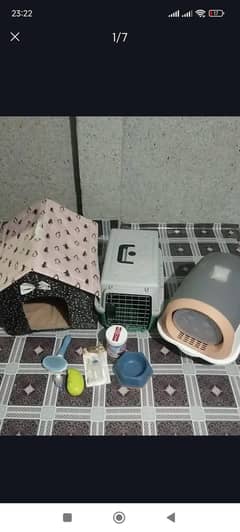 only one month use my cat assories