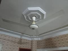 Original Pak Fan (Cooper winding)