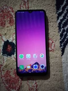 vivo