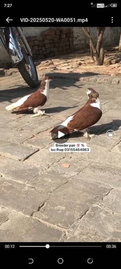 lahori