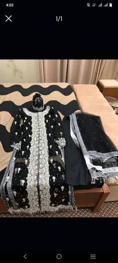 Fancy women dress