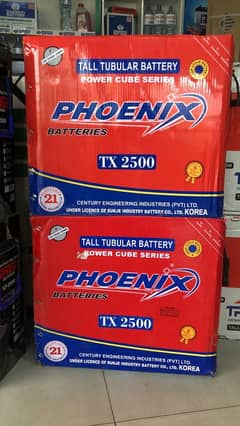 Phoenix Battery TX 2500 230 AH Tubular Battery