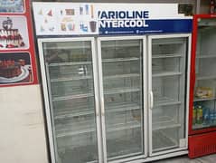 counters and freezer