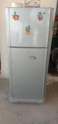 pel aspire frigh