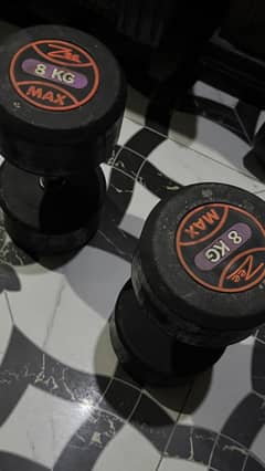 8kg dumbbells in pair