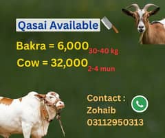 Professional Qasai,cow, Bakra, Qasai, Qurbani Book Qasai for Bakra