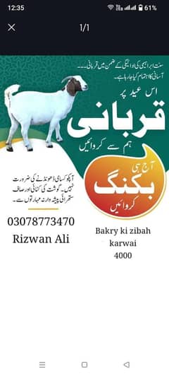 bakry saaf suthra gosht tsali bakhs Kam ho ga