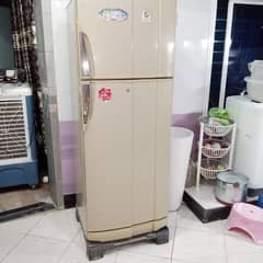 PEL Fridge New Condition