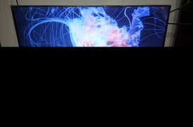 Haier android tv DVB2k 43inch