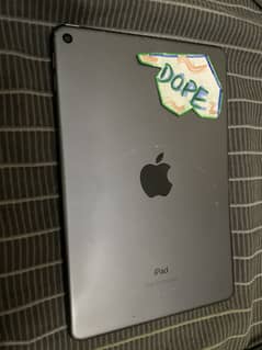 iPad