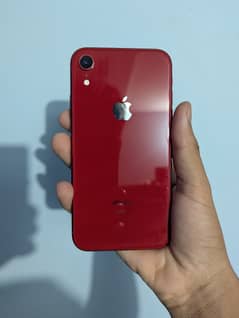 iPhone XR Official PTA Approved
