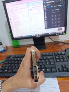 13 pro max