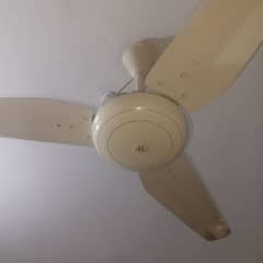 3 chat wale pankay location Joher Chorangi 03110188962