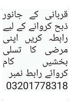 Qurbani