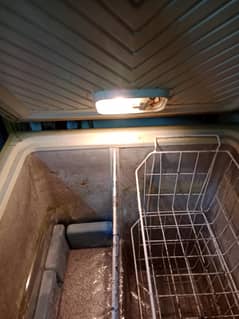 waves freezer