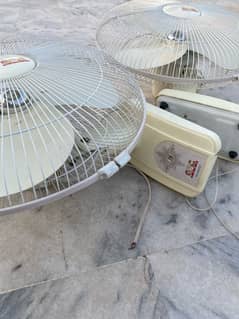 Fans