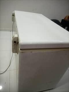 pel d freezer