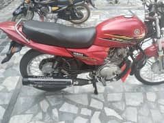 sell ybz red color