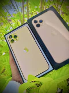 Iphone 11 pro factory unlocked Face true sab active box be h