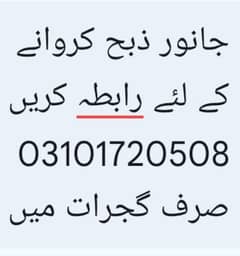 gujrat
