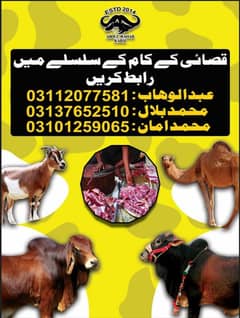 jaldi jaldi booking karwao