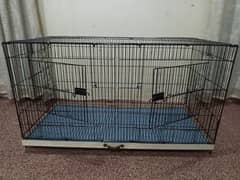 birds cage
