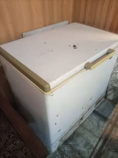 single door D-freezer