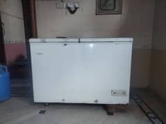 Haier Freezer