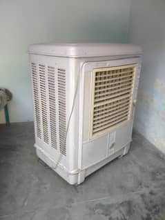 royal cooler in good condition