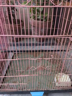 2 bird cages for sale