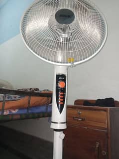 Fan