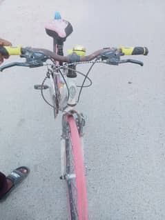 baiesecl