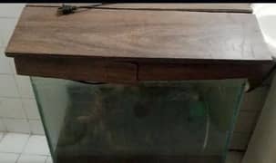aquarium with all accessories