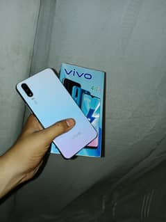 vivo