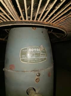 Royal